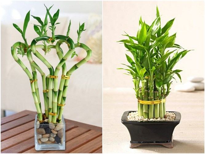 10 quan niệm sai lầm về phong thủy nhà ở mà nhiều người vẫn tin