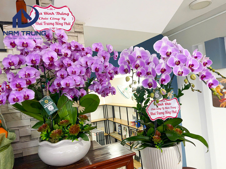 Xây dựng nam trung khai trương trụ sở chính tại Phường An Hội Tây, TP. HCM