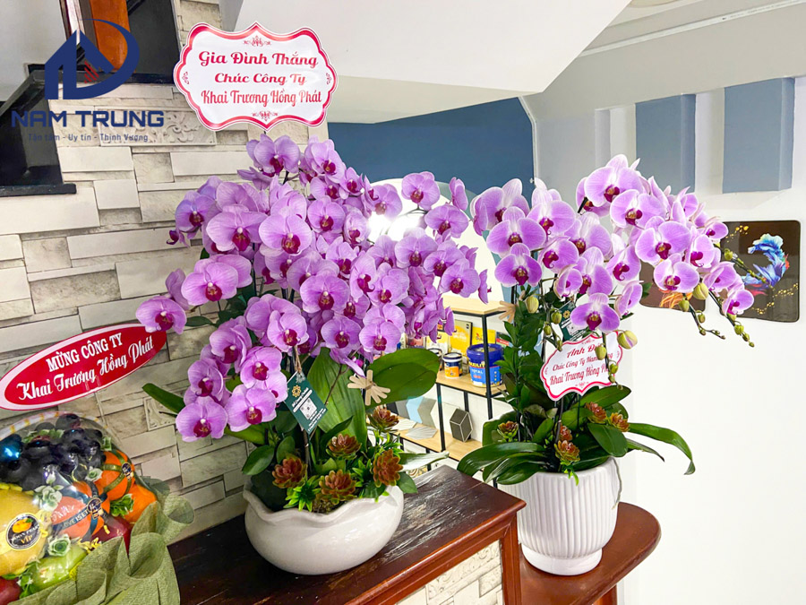 Xây dựng nam trung khai trương trụ sở chính tại Phường An Hội Tây, TP. HCM